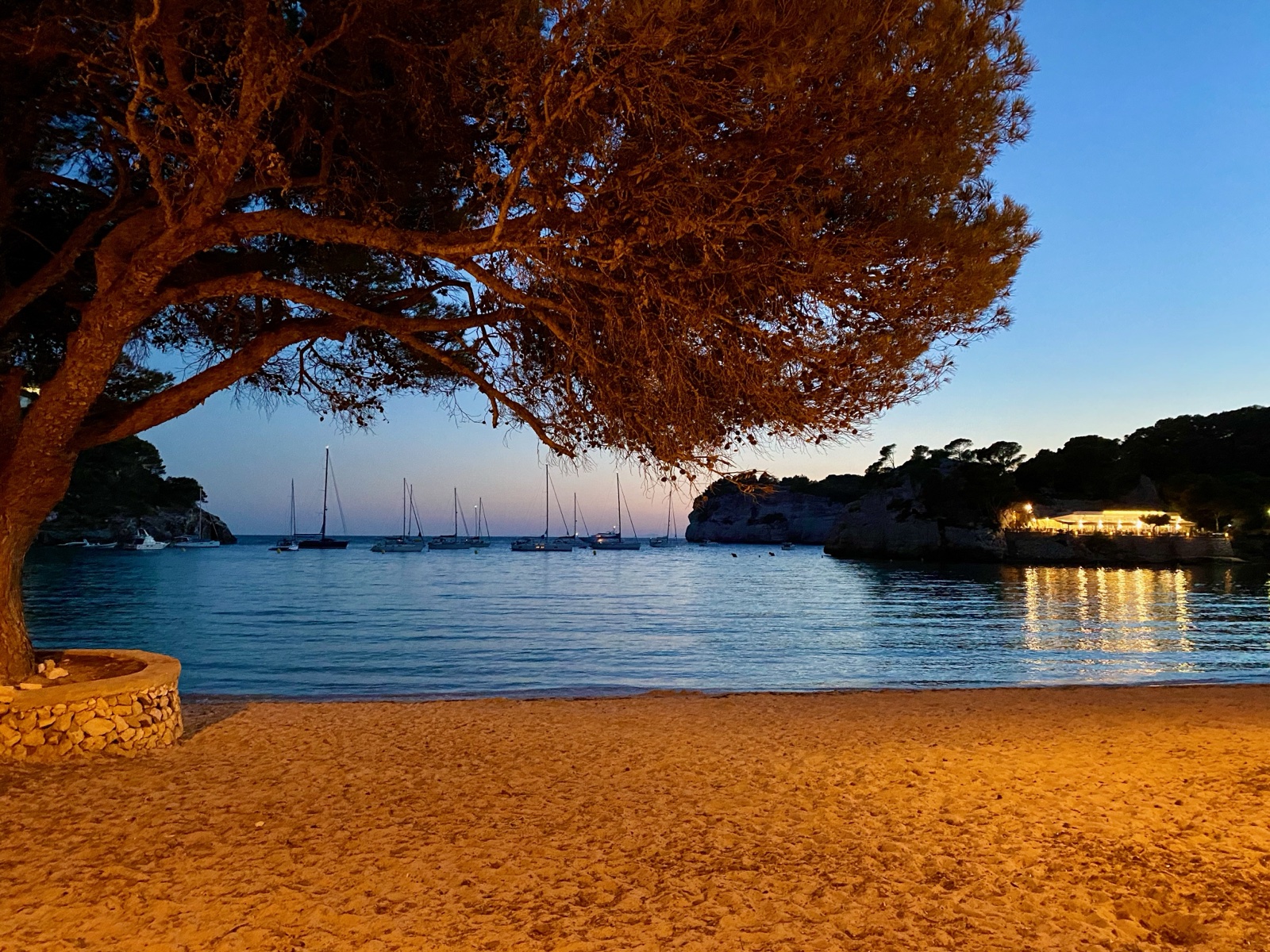 Platja de Cala Galdana al capvespre — llum daurada, pi i velers amarrats a la badia