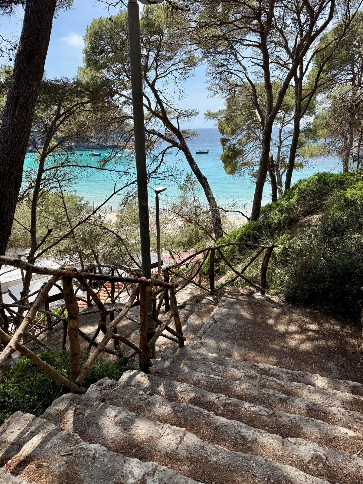 Camí de pedra entre pins que baixa cap a la platja